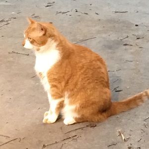 Meet your Posher, Jacob